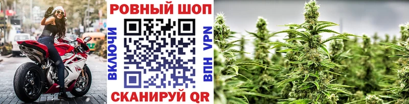 Где купить наркоту Куровское Каннабис  A-PVP  Гашиш  МЕФ 