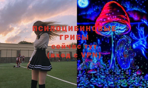 винт Алексин