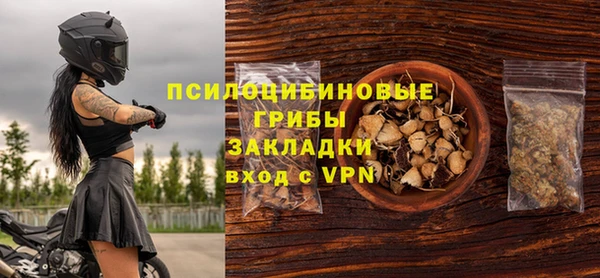 ГАЛЛЮЦИНОГЕННЫЕ ГРИБЫ Абинск